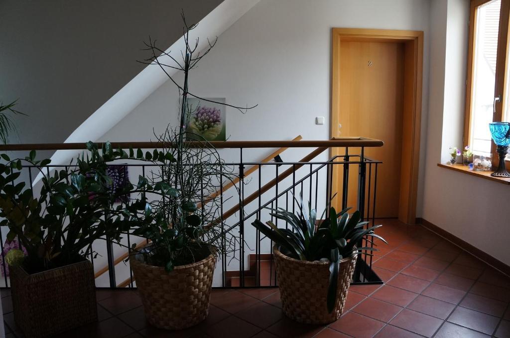 Gasthof Zur Post Neunkirchen am Brand Zewnętrze zdjęcie